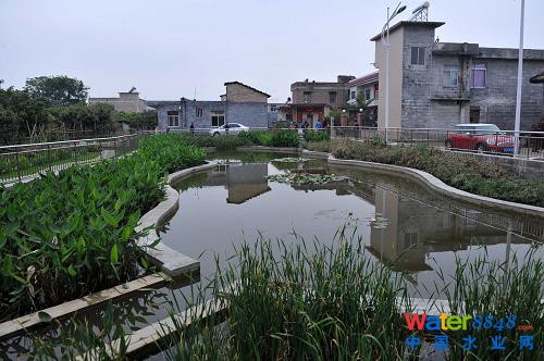 在廣西玉林市玉東新區(qū)茂林鎮(zhèn)金谷村,污水處理設(shè)施不僅改善了環(huán)境,也成了村里一道美麗風(fēng)景(4月10日攝)。 蒼蠅亂飛的臭水溝不見了,池塘的死水變活了,臟亂差的農(nóng)村變美了……廣西積極推進(jìn)農(nóng)村環(huán)境連片整治示范工作,讓越來越多的農(nóng)村舊貌換新顏。2012年,廣西共有18個(gè)縣500個(gè)村完成了示范整治任務(wù),實(shí)施污水處理設(shè)施487套、生活垃圾收集轉(zhuǎn)運(yùn)設(shè)施設(shè)備1.2226萬個(gè)(臺、套),受益人口180萬。今年,廣西計(jì)劃投資5.25億元,在19個(gè)縣(自治縣、市、區(qū))開展農(nóng)村環(huán)境連片整治示范項(xiàng)目,使全廣西農(nóng)村每年可增加生活污水處理能力1350萬噸。(新華社記者 周華 攝)