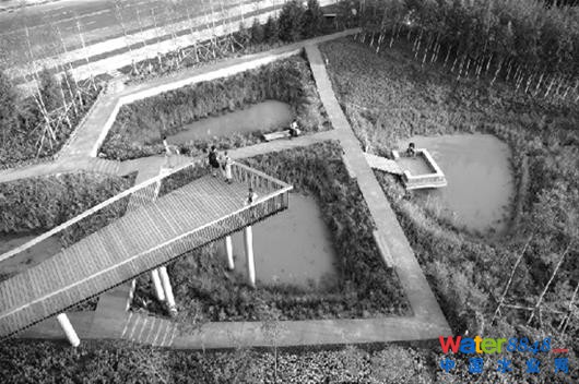 圖為:建成“海綿城市”后,“下沉式綠地”將點(diǎn)綴城市角落(資料圖片)