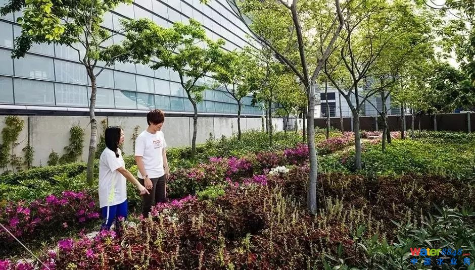 漲姿勢|揭秘全球最大污泥處理廠——香港“T˙PARK”