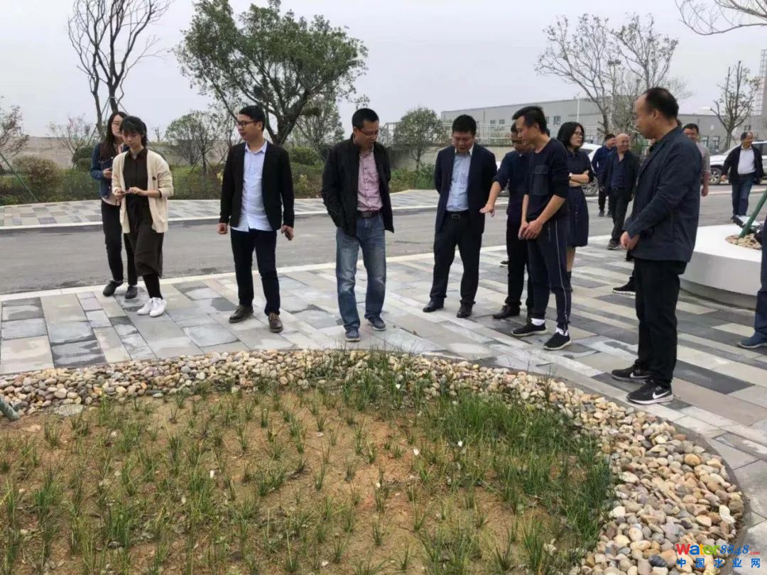 点击打开原图