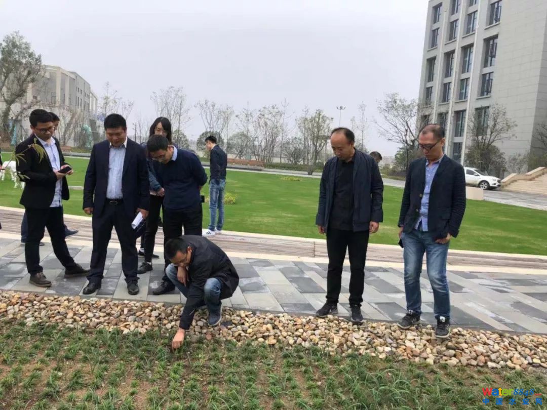 点击打开原图